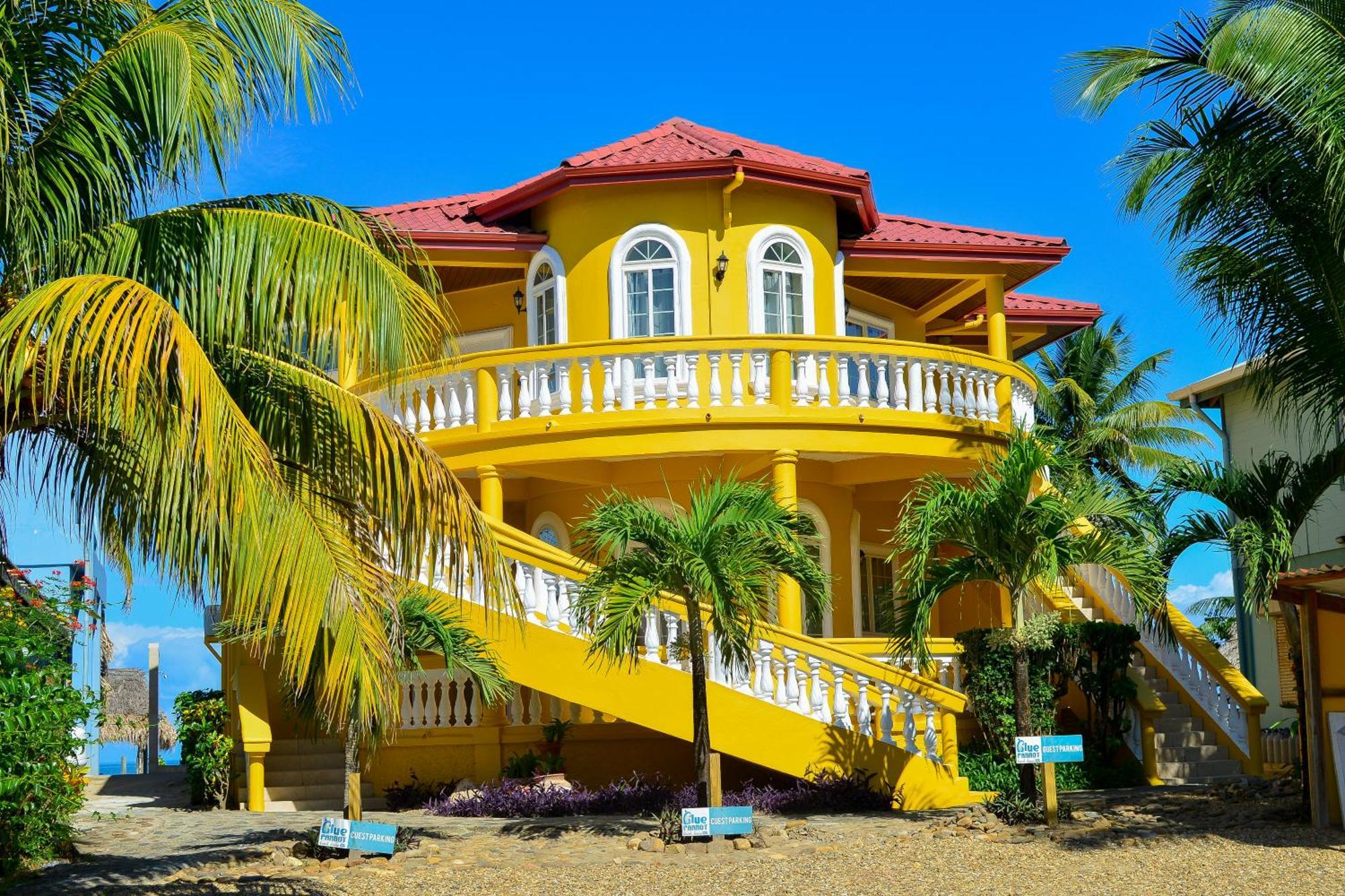 Blue Parrot Beach House And Villas Hopkins Ngoại thất bức ảnh